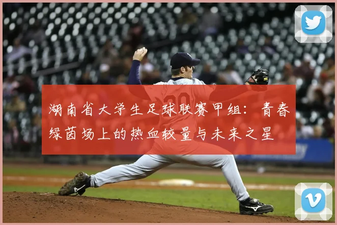 湖南省大学生足球联赛甲组：青春绿茵场上的热血较量与未来之星