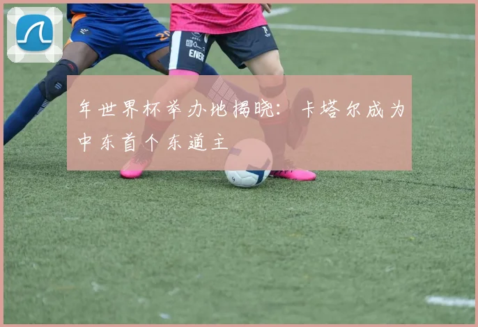 年世界杯举办地揭晓：卡塔尔成为中东首个东道主